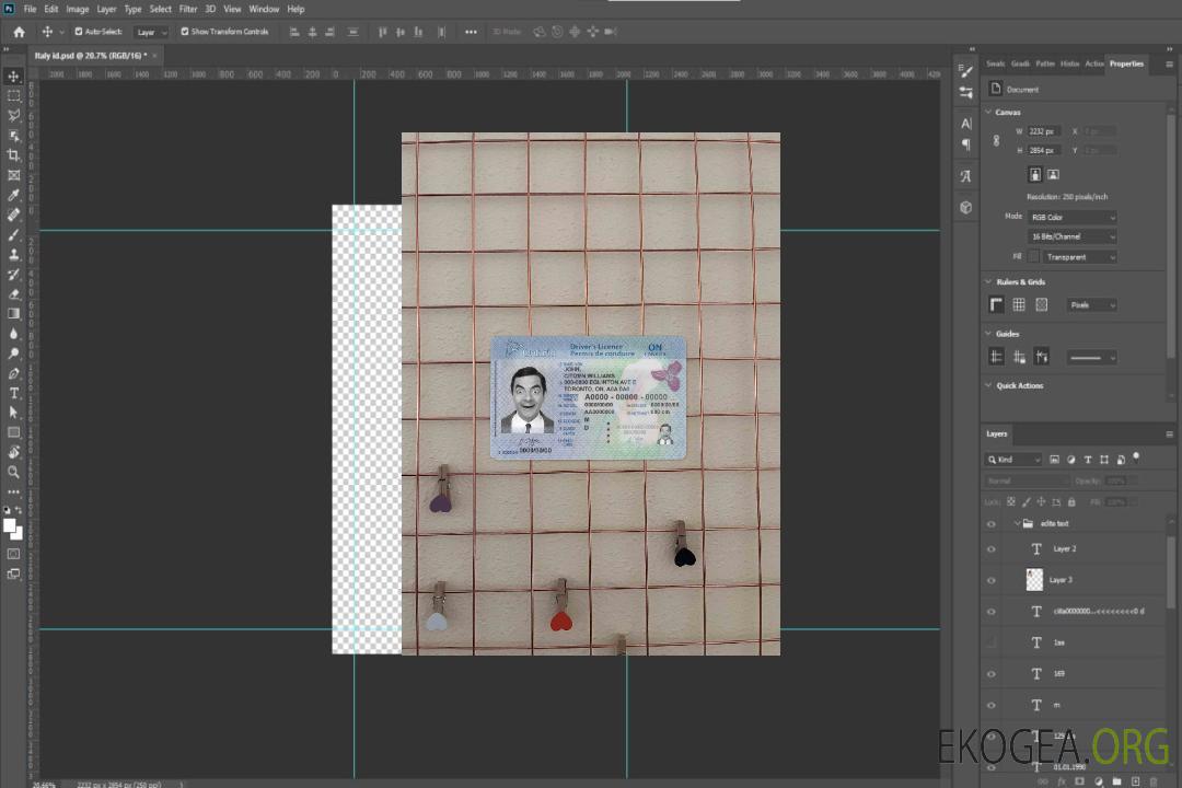 Canada Ontario DL (2018 – présent) photolook AVANT template